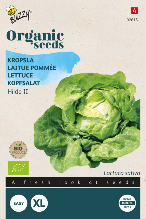 Hilde 2 Lettuce - Organic seeds