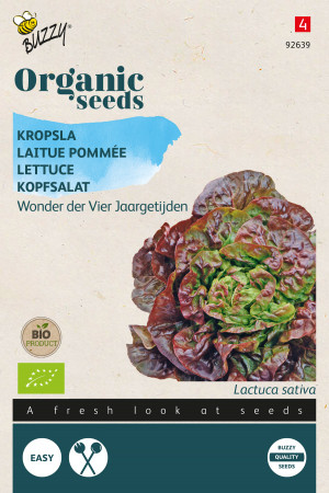 Merveille des quatre Saisons lettuce - Organic seeds