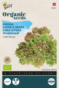 Lollo Rossa Lettuce - Organic seeds