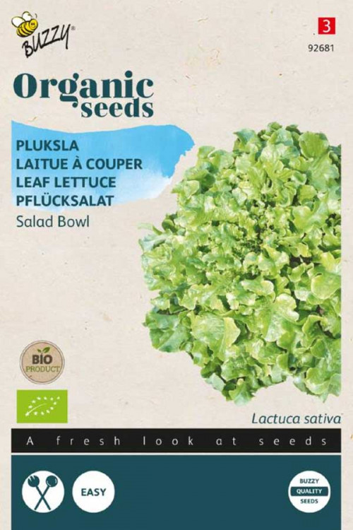 Salad Bowl Leaf Lettuce Organic seeds