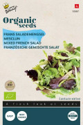 French salad Mesclun Organic seeds