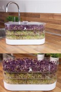 3 Layer Sprouting Tower Grow Kit