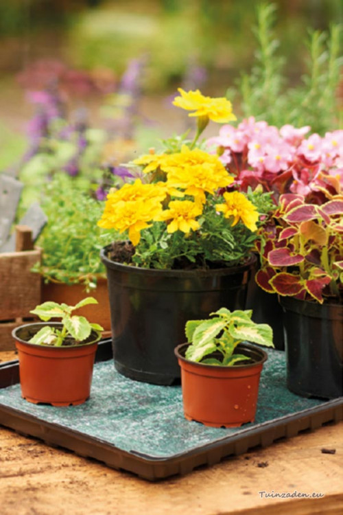 Water Retaining matting Water Wick 0,6x2m Self Watering Systems