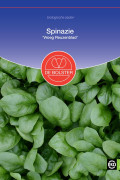 Early Giant Leaf Spinach organic seeds
