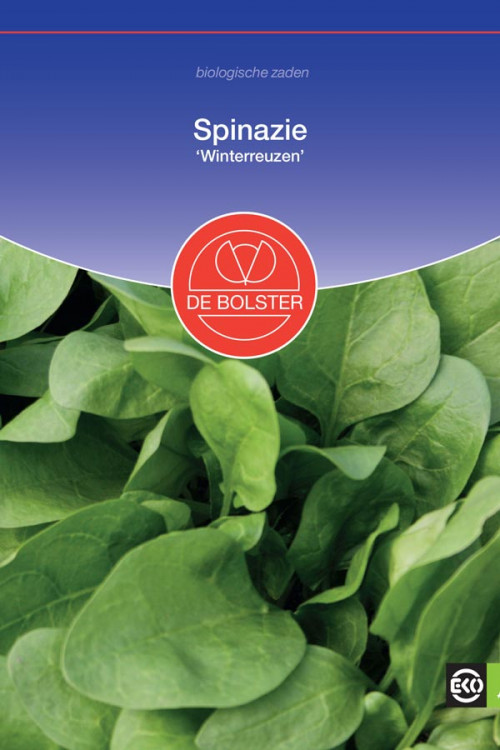 Winter Giant Spinach organic seeds