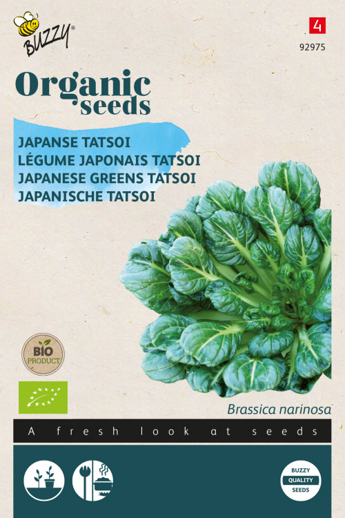 Japanese Greens Tatsoi Organic seeds