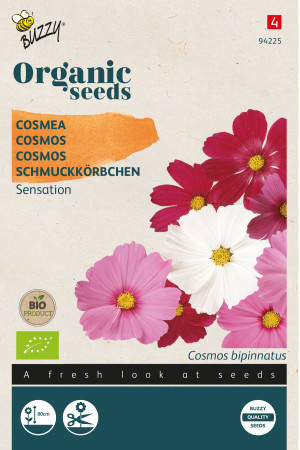 Sensation Cosmos Organic seeds