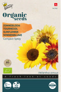 Compact Spray dwarf Sunflower Organic seeds