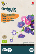 Klimmende Winde Organic - Biologische zaden