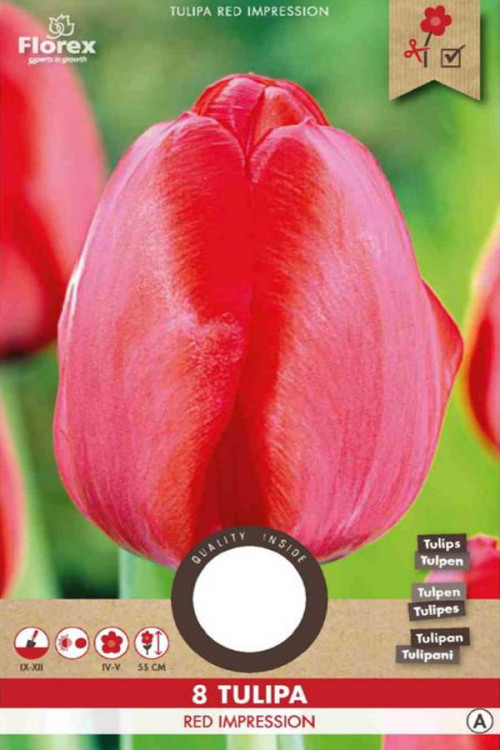 Red Impression Tulips - Flower Bulbs 8 pcs.
