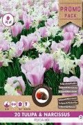 MIX Felicia 20 Daffodil and Tulips bulbs PROMO PACK