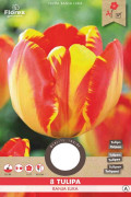 Banja Luka Tulips - Flower Bulbs 8pcs.
