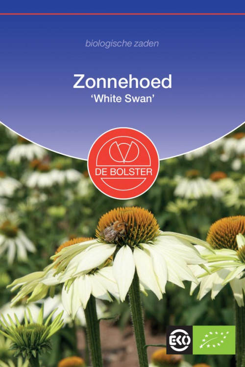 White Swan Coneflower Organic seeds