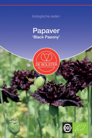 Black Paeony Papaver biologische zaden