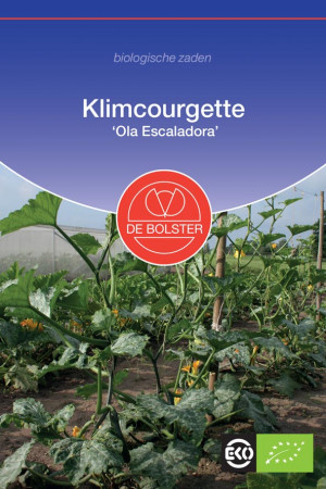 Ola Escaladora Climbing Courgette Organic seeds