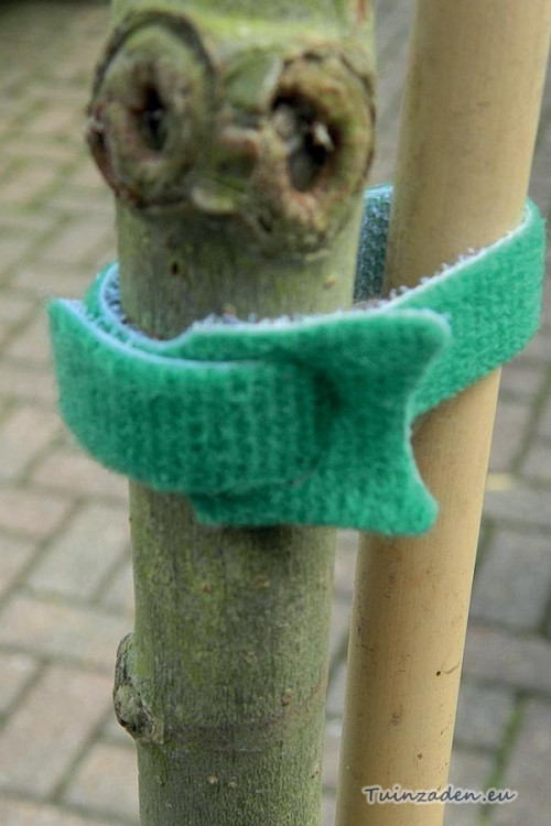 Klittenband 10 x 15cm strips groen