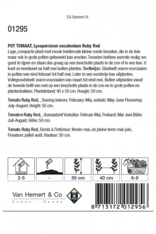 Ruby Red Pot Tomato seeds Bush Tomatoes • Tuinzaden.eu