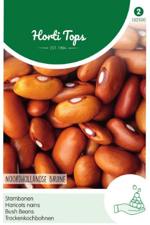 Dutch Brown beans seeds 25gram