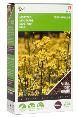 Yellow Mustard seeds 140m2...