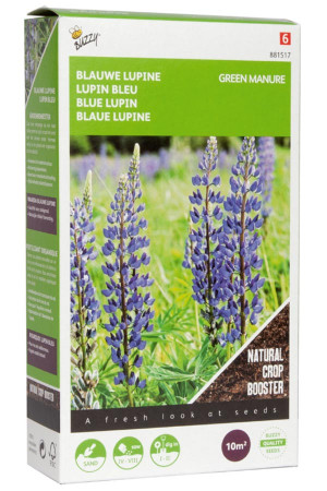 Blue Lupine seeds 10m2 green manure