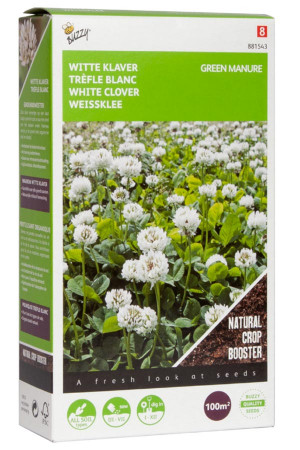 White Clover seeds 100m2 green manure