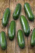 Kaikura F1 Snack Cucumber Organic seeds