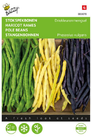 Three color Legumes Pole beans