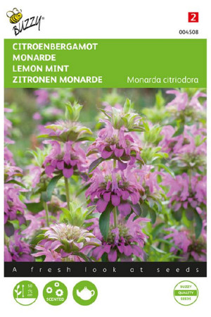 Lemon mint Monarda seeds