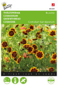 Brunette Greenthread Cosmidium seeds