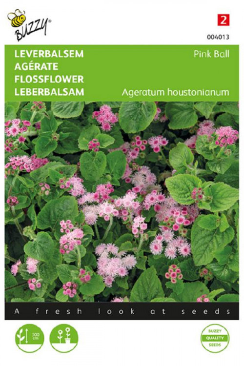 Pink Ball Flossflower Ageratum seeds