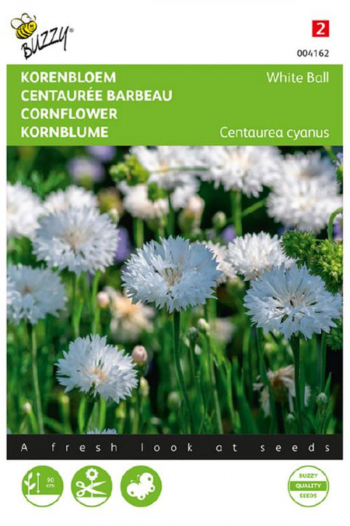 White Ball Centaurea Cornflower seeds