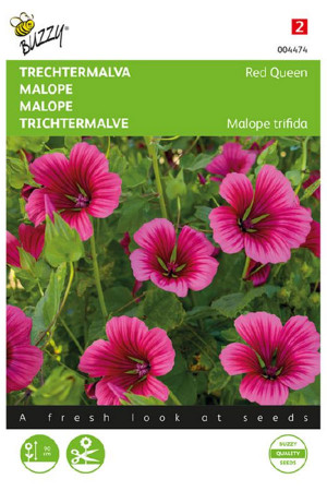 Red Queen Malope seeds