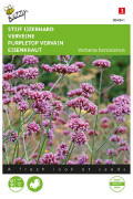 Purpletop vervain Verbena seeds