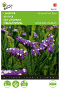 Fortune Dark Blue Sea lavender Limonium seeds