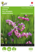Fortune Deep Rose Sea lavender Limonium seeds