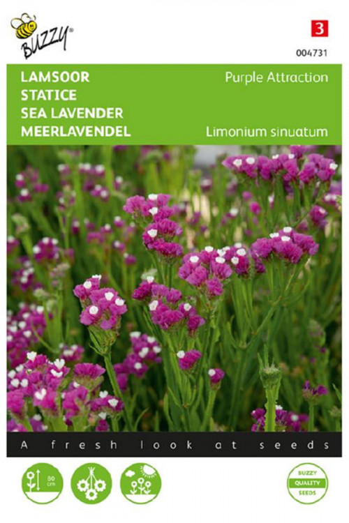 Purple Attraction Lamsoor Limonium zaden