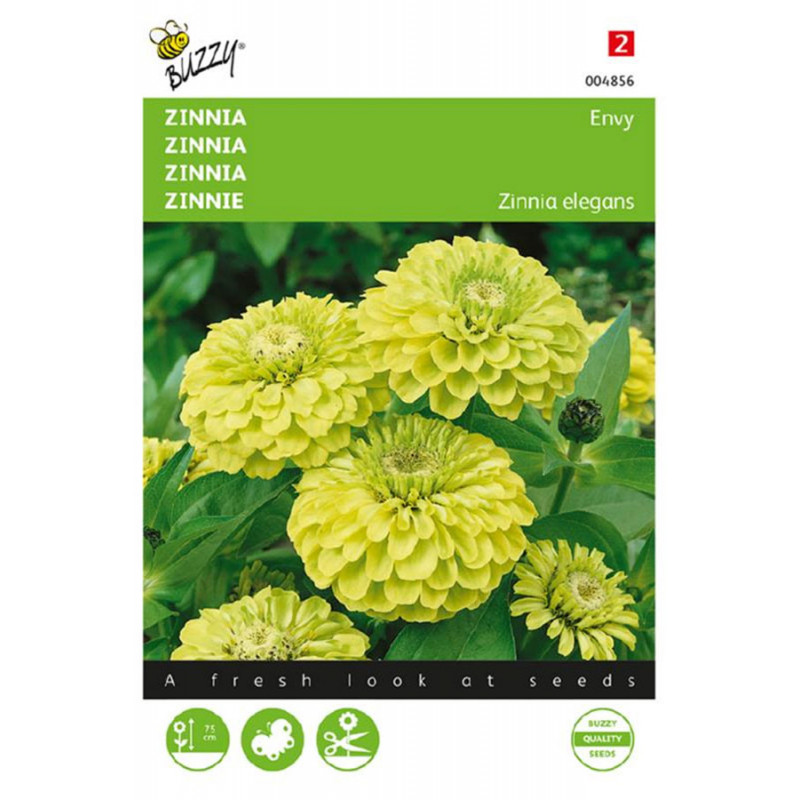 Envy Limoengroene Zinnia zaden Zaden kopen? Tuinzaden.eu