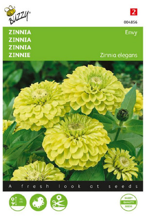 Lime Envy Zinnia seeds