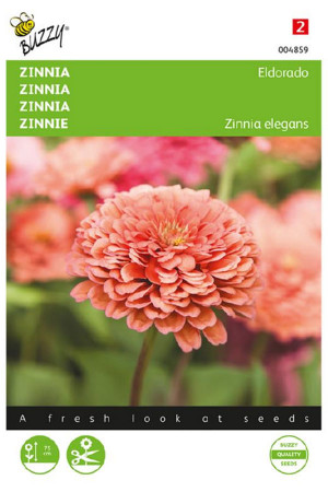 Eldorado Zinnia seeds