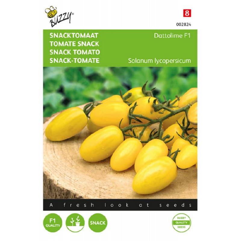 Dattolime F1 cherry tomato seeds - Cherry Tomatoes • Tuinzaden.eu