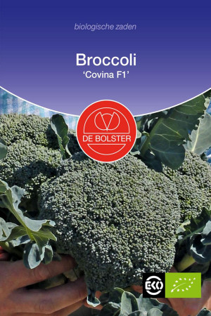 Covina F1 Broccoli...