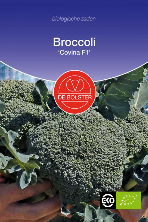 Covina F1 Broccoli organic seeds