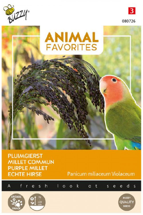 Purple Millet seeds - Animal Favorites