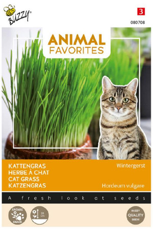 Cat grass seeds - Animal...
