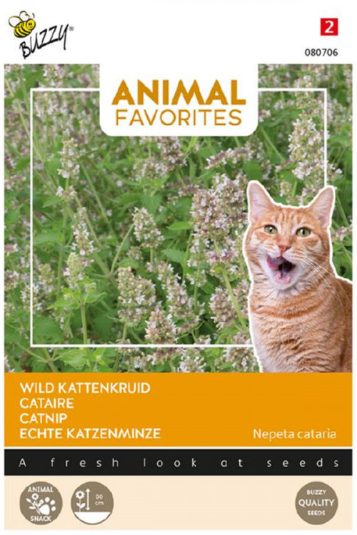 Kattenkruid zaden - Animal Favorites