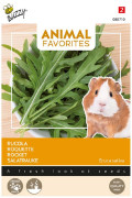Rucola voor Cavia's zaden - Animal Favorites