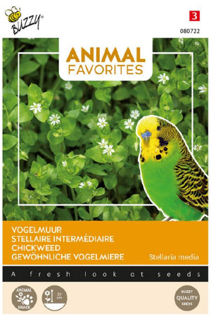 Chickweed seeds - Animal...