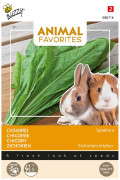 Chicory Spadona seeds - Animal Favorites