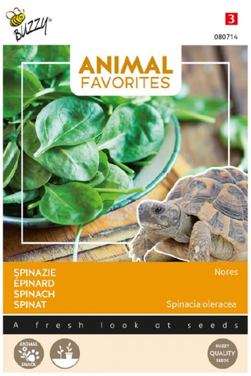 Spinach Nores seeds for Tortoises - Animal Favorites