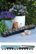 Sowing tray with bio plugs SOGO